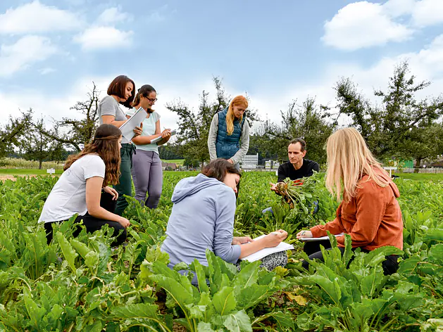 Agronomie studieren
